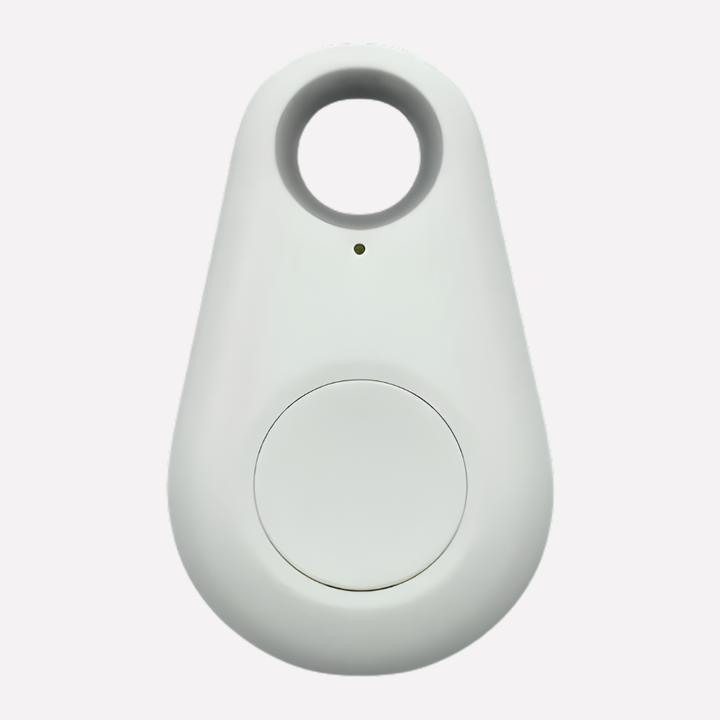 Real-Time Location Tracking for Pets