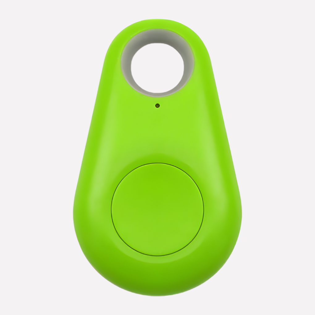 Real-Time Location Tracking for Pets