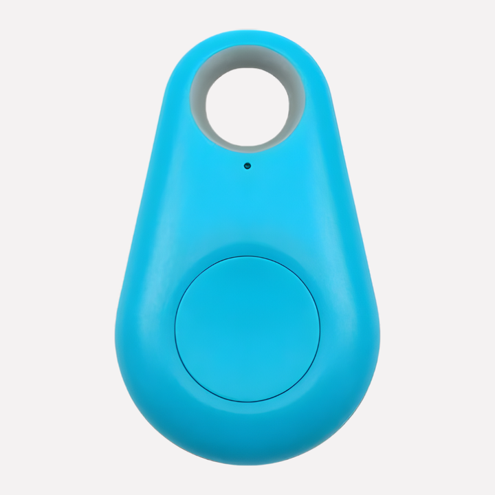 Real-Time Location Tracking for Pets