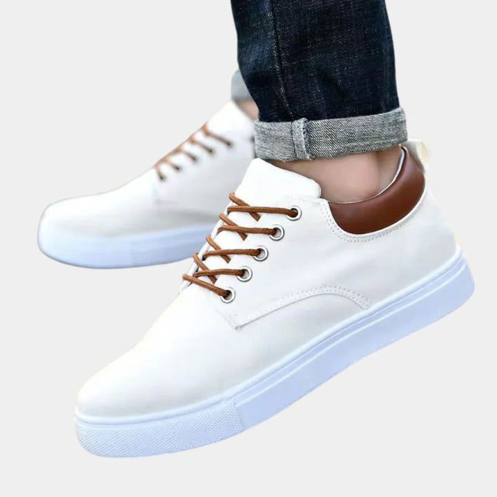 Spring Shoes for men