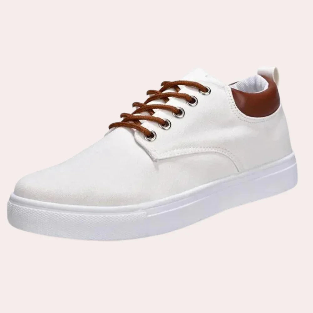 Spring Shoes for men