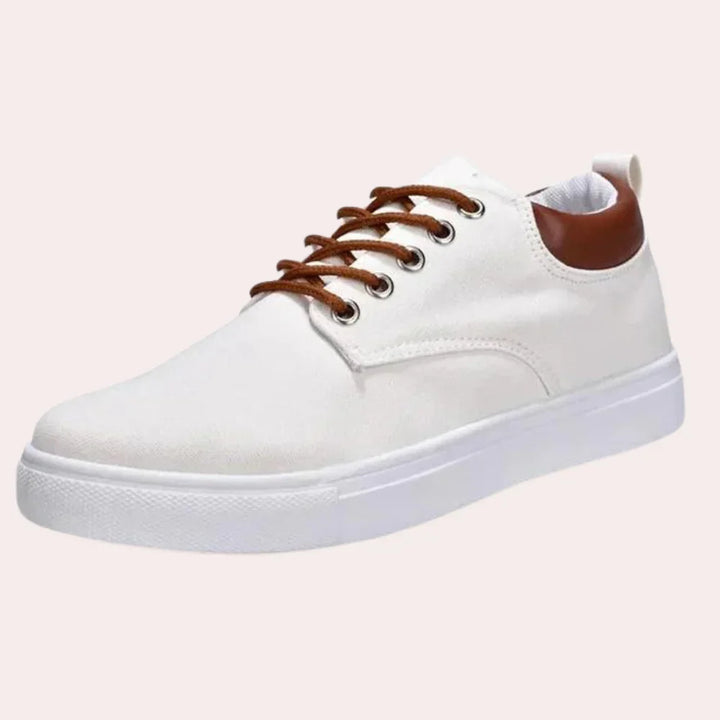 Spring Shoes for men