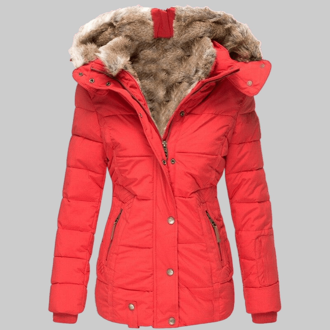 Women’s Winter Jacket